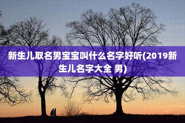 新生儿取名男宝宝叫什么名字好听(2019新生儿名字大全 男)