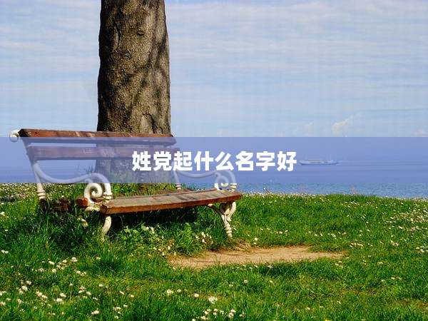 姓党起什么名字好