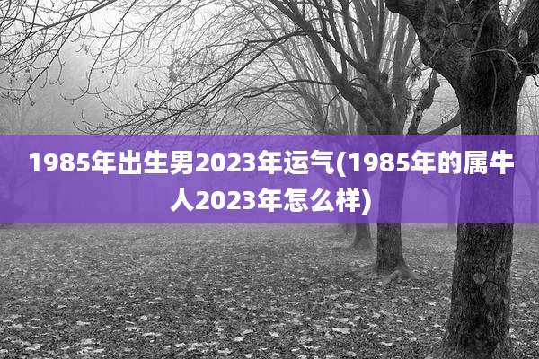 1985年出生男2023年运气(1985年的属牛人2023年怎么样)