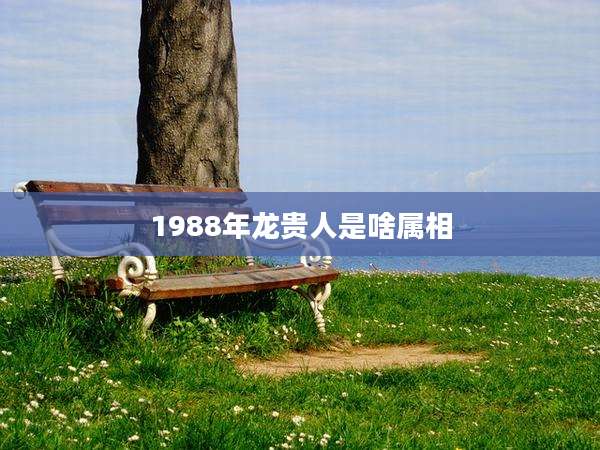 1988年龙贵人是啥属相