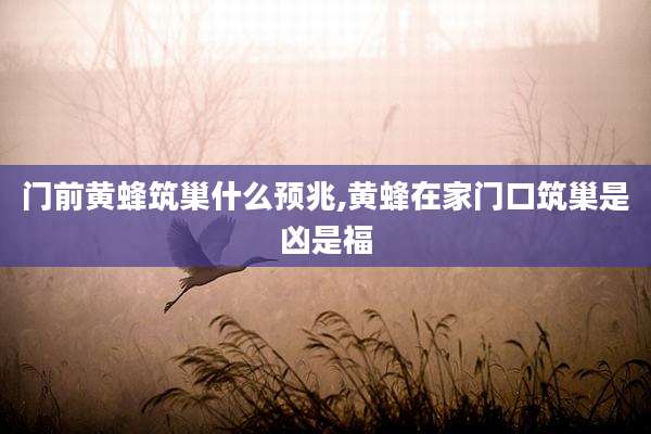 门前黄蜂筑巢什么预兆,黄蜂在家门口筑巢是凶是福