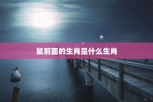鼠前面的生肖是什么生肖