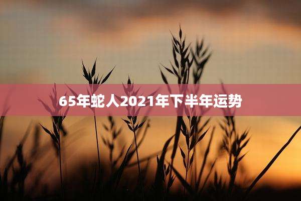 65年蛇人2021年下半年运势