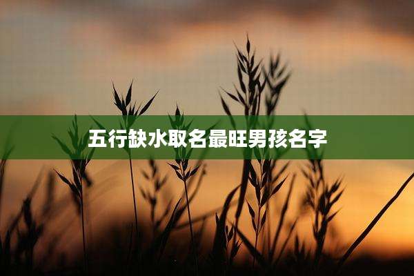 五行缺水取名最旺男孩名字