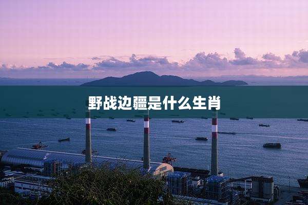 野战边疆是什么生肖