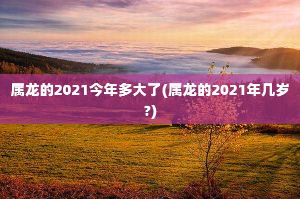属龙的2021今年多大了(属龙的2021年几岁?)