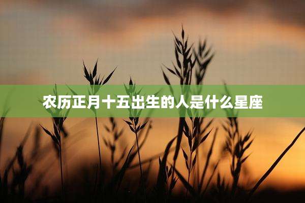 农历正月十五出生的人是什么星座
