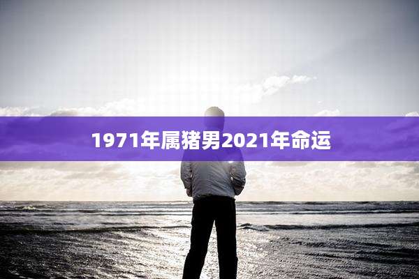 1971年属猪男2021年命运