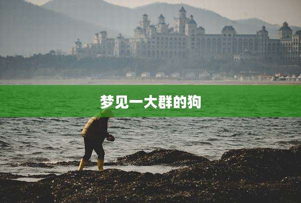 梦见一大群的狗