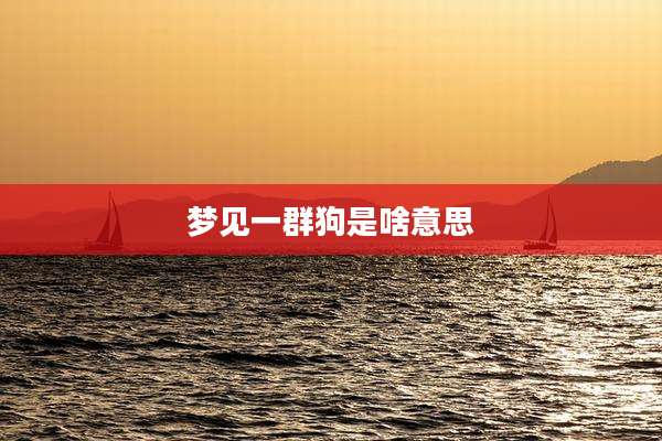 梦见一群狗是啥意思