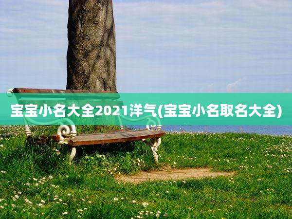 宝宝小名大全2021洋气(宝宝小名取名大全)