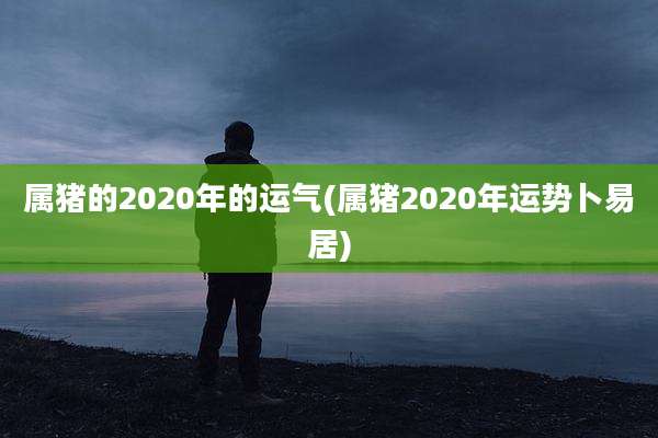 属猪的2020年的运气(属猪2020年运势卜易居)