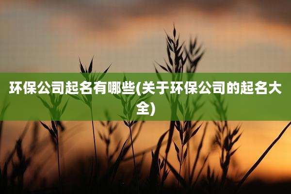 环保公司起名有哪些(关于环保公司的起名大全)