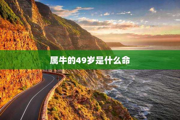 属牛的49岁是什么命