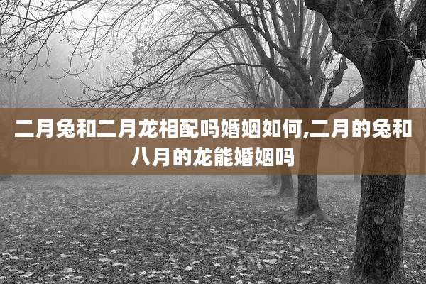二月兔和二月龙相配吗婚姻如何,二月的兔和八月的龙能婚姻吗