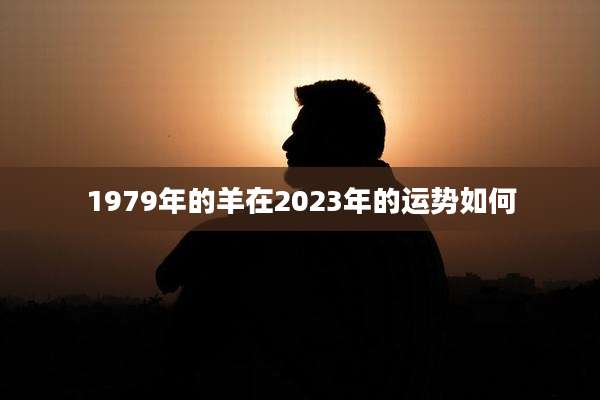 1979年的羊在2023年的运势如何