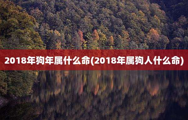 2018年狗年属什么命(2018年属狗人什么命)