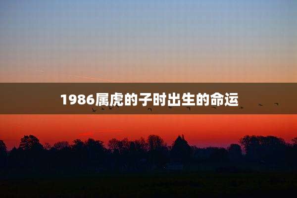 1986属虎的子时出生的命运