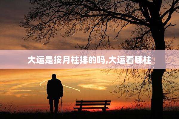 大运是按月柱排的吗,大运看哪柱
