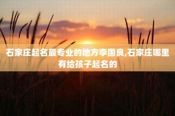 石家庄起名最专业的地方李国良,石家庄哪里有给孩子起名的