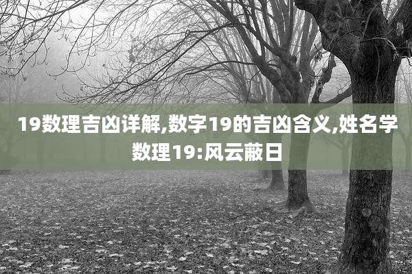 19数理吉凶详解,数字19的吉凶含义,姓名学数理19:风云蔽日