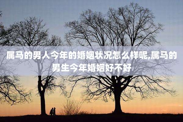 属马的男人今年的婚姻状况怎么样呢,属马的男生今年婚姻好不好