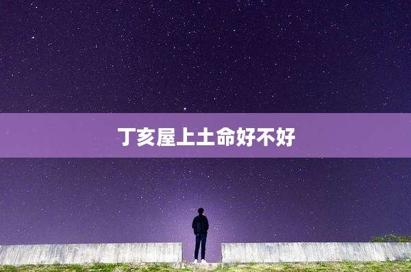 丁亥屋上土命好不好