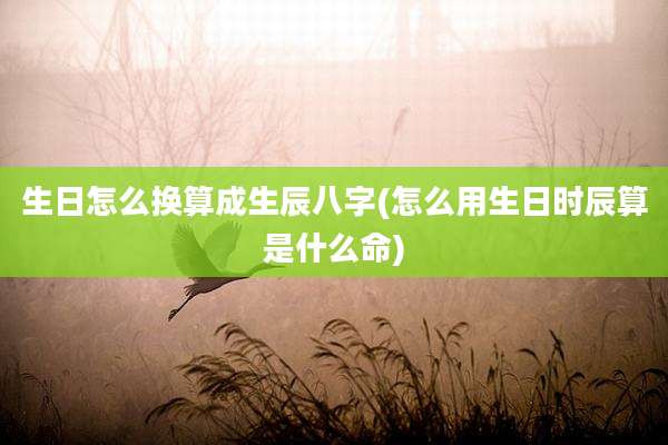 生日怎么换算成生辰八字(怎么用生日时辰算是什么命)