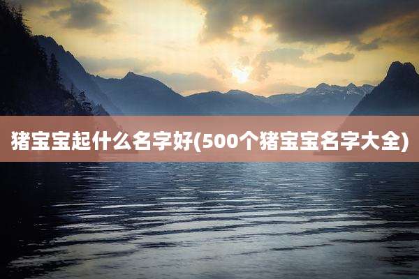 猪宝宝起什么名字好(500个猪宝宝名字大全)