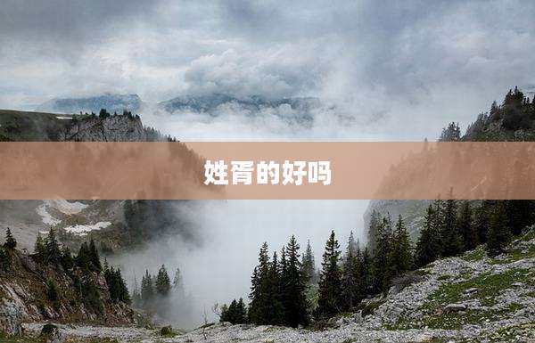 姓胥的好吗