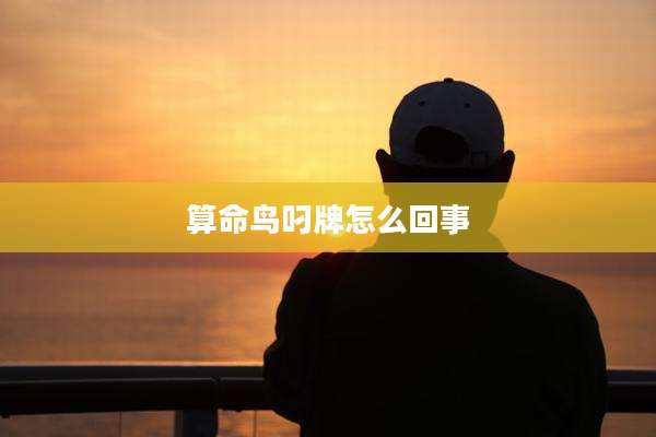 算命鸟叼牌怎么回事