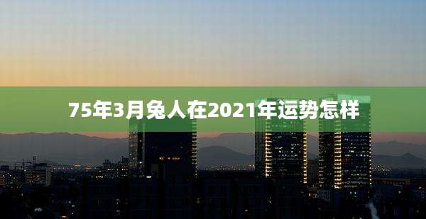 75年3月兔人在2021年运势怎样