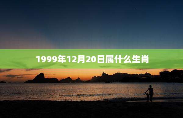 1999年12月20日属什么生肖