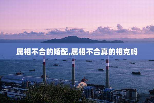 属相不合的婚配,属相不合真的相克吗