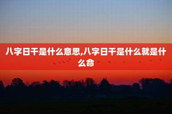 八字日干是什么意思,八字日干是什么就是什么命