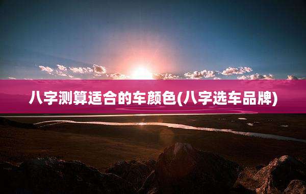 八字测算适合的车颜色(八字选车品牌)