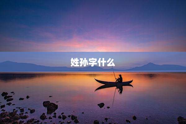 姓孙字什么
