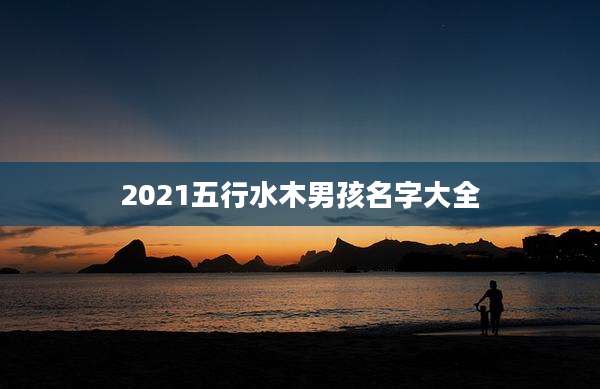 2021五行水木男孩名字大全