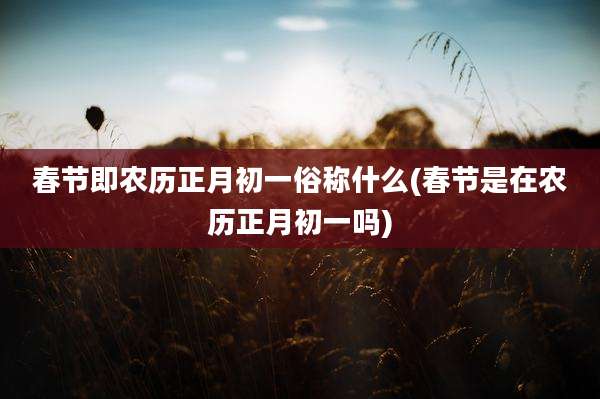 春节即农历正月初一俗称什么(春节是在农历正月初一吗)