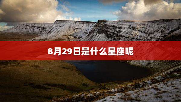 8月29日是什么星座呢