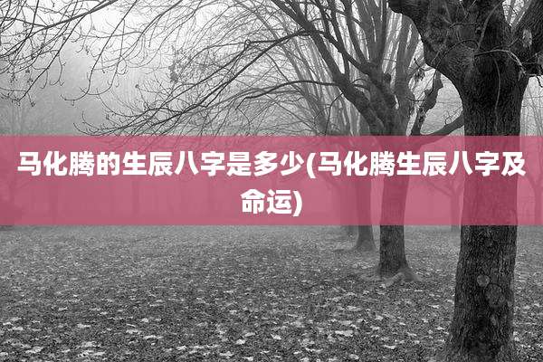 马化腾的生辰八字是多少(马化腾生辰八字及命运)