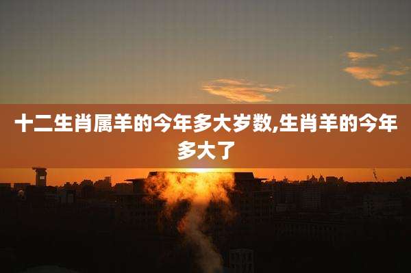 十二生肖属羊的今年多大岁数,生肖羊的今年多大了