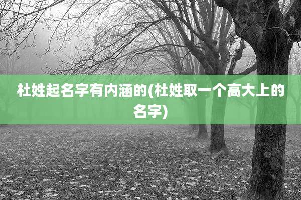 杜姓起名字有内涵的(杜姓取一个高大上的名字)