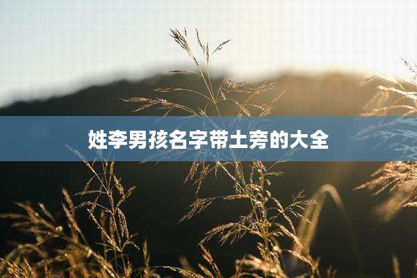 姓李男孩名字带土旁的大全