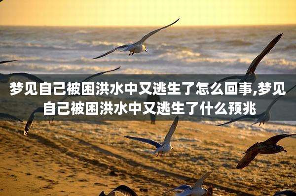 梦见自己被困洪水中又逃生了怎么回事,梦见自己被困洪水中又逃生了什么预兆