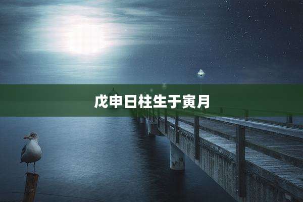 戊申日柱生于寅月