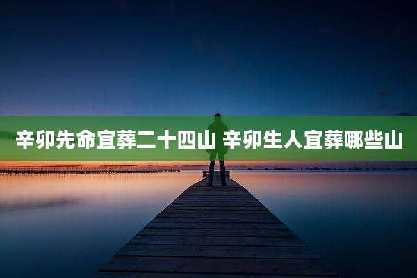 辛卯先命宜葬二十四山 辛卯生人宜葬哪些山