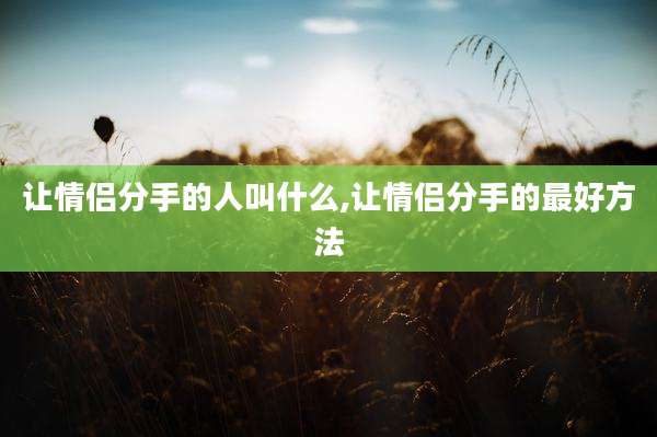 让情侣分手的人叫什么,让情侣分手的最好方法
