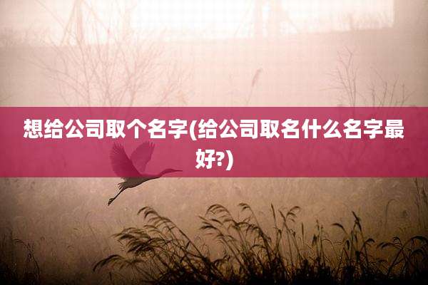 想给公司取个名字(给公司取名什么名字最好?)