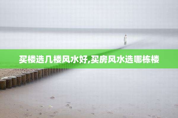 买楼选几楼风水好,买房风水选哪栋楼